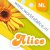 chatbot Alice