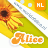 chatbot Alice