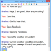 chatbot, chatterbot, conversational agent, virtual agent Braina