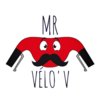 chatbot, conversational agent, chatterbot, virtual agent Mr Vélo'v