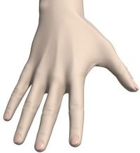 The first digitized hand created by Edwin Catmull in 1973